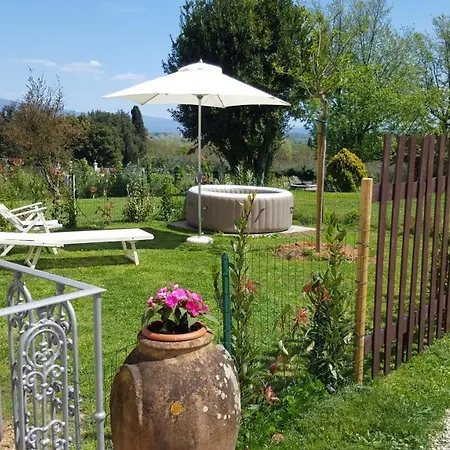 La Cantina Di Tonino * Lucca